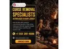 Curse Removal Specialists Astrologer in New Jersey